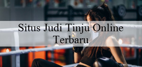 Situs Judi Tinju Online Terbaru